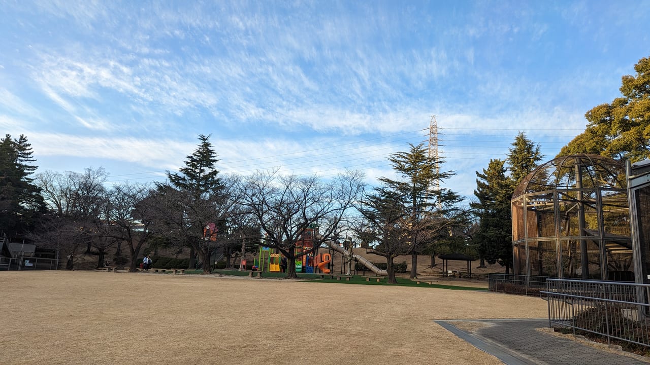 大池公園の芝生広場