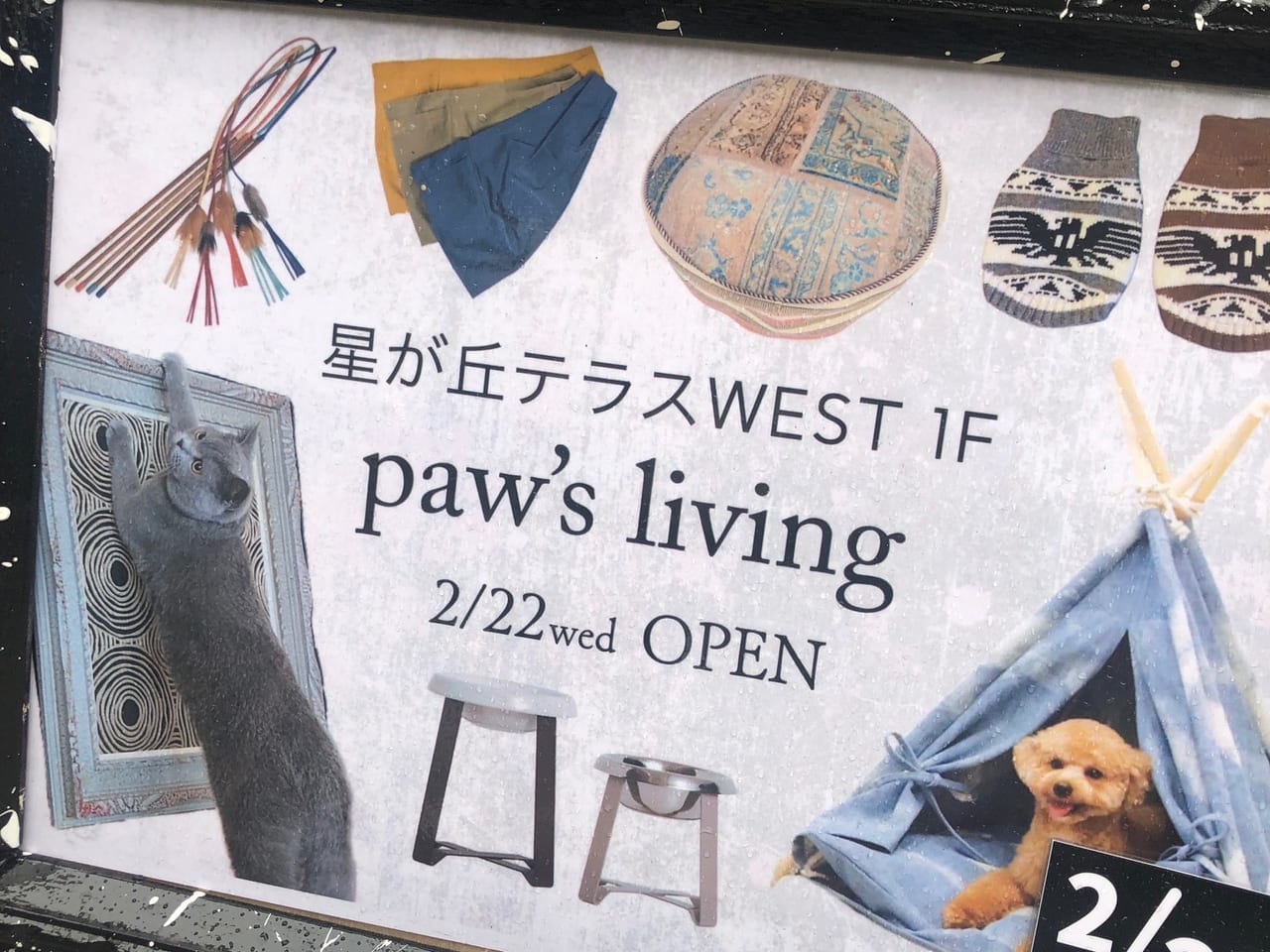 pawsliving1