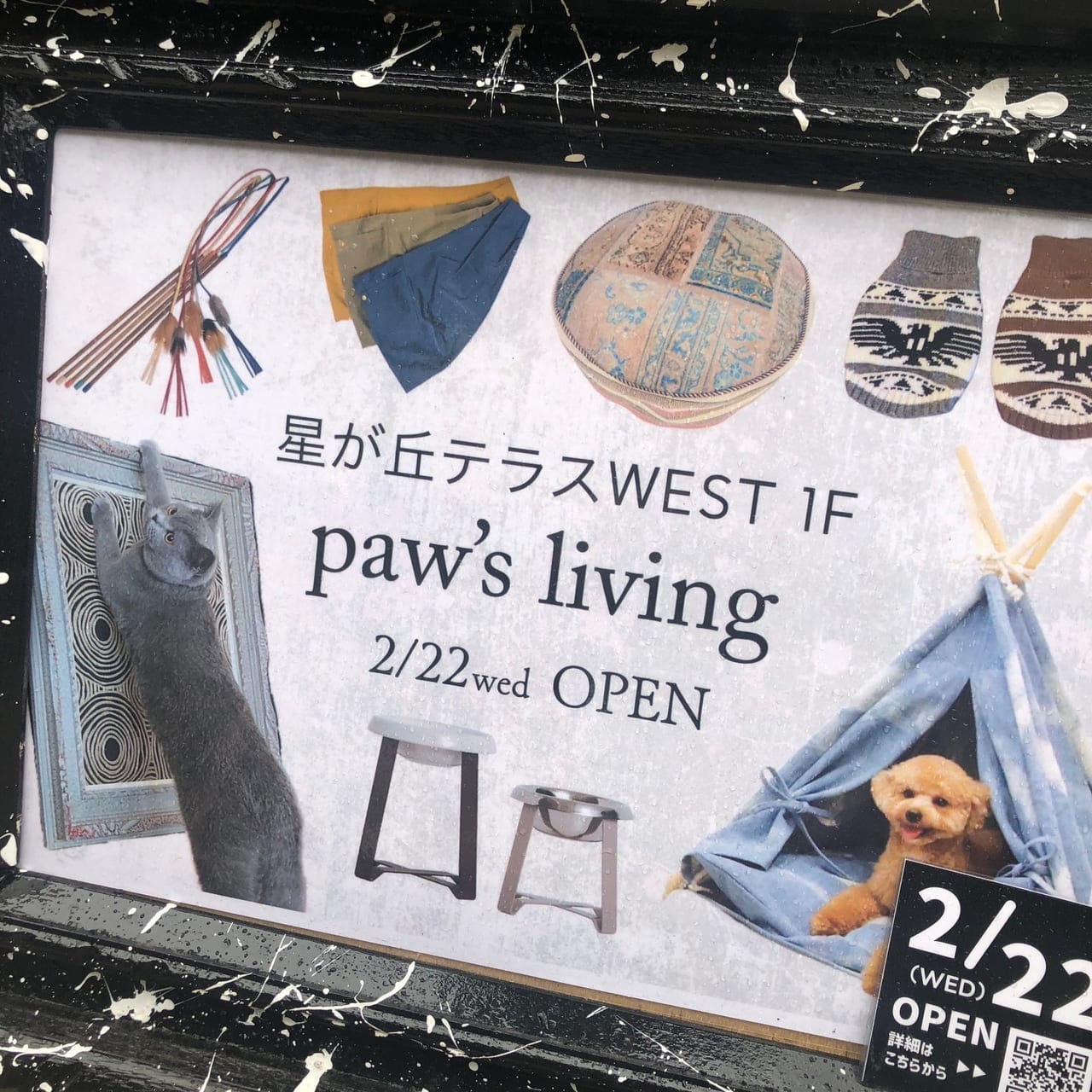 pawsliving1