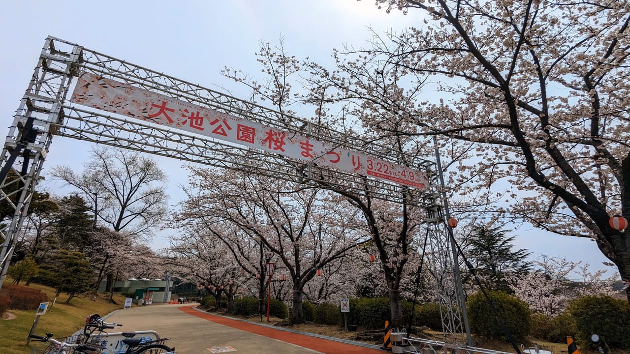 2023年大池公園桜まつり