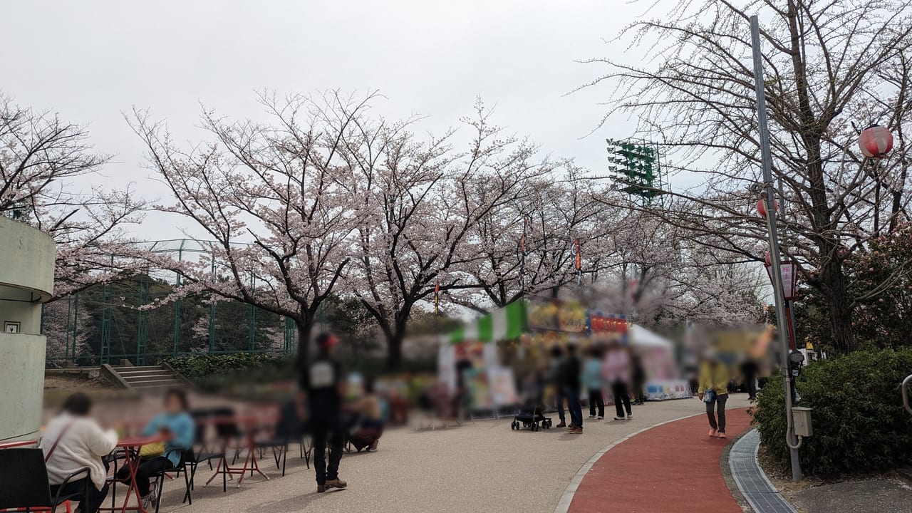 2023年大池公園桜まつり