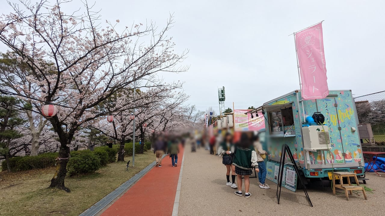 2023年大池公園桜まつり