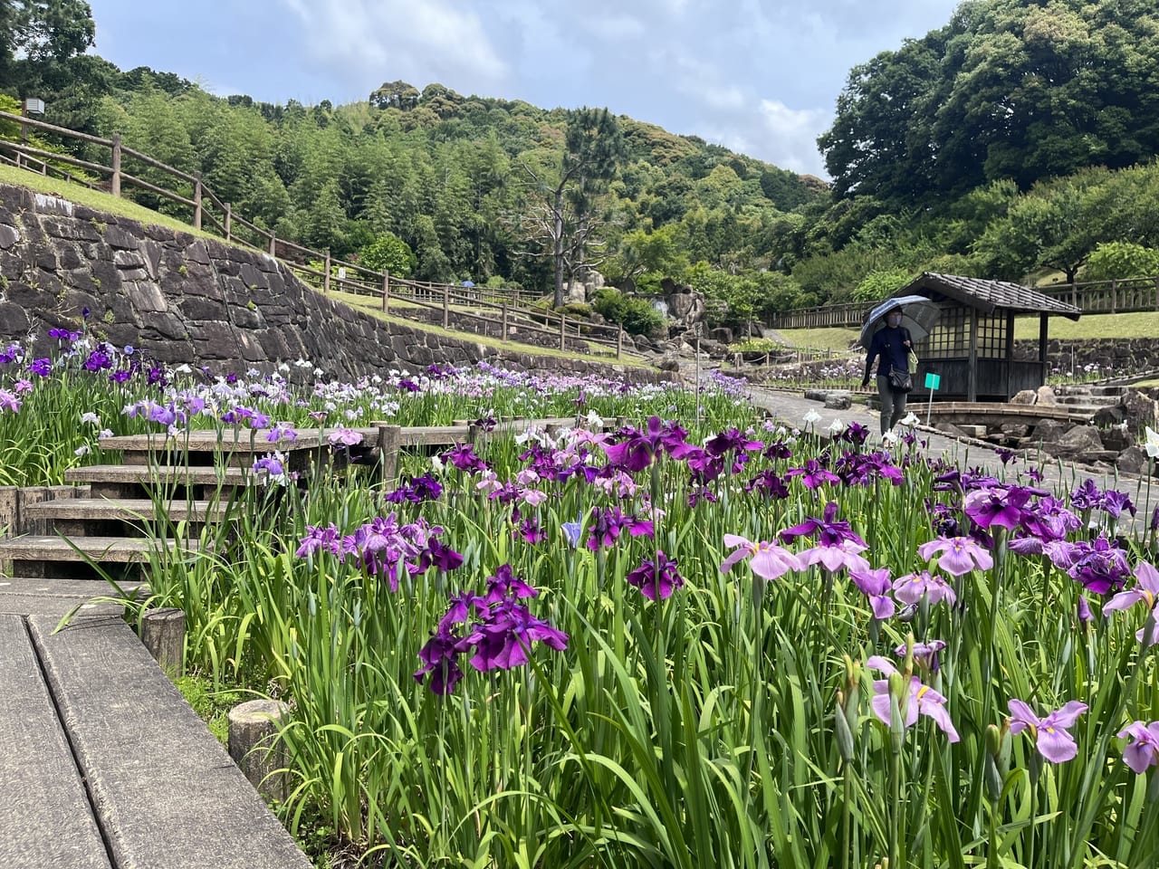 花しょうぶ園