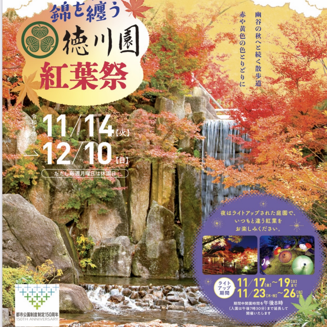 名古屋市東区徳川町の「徳川園」にて、「錦を纏う　徳川園紅葉祭」が開催。ライトアップされた紅葉を楽しむことができる